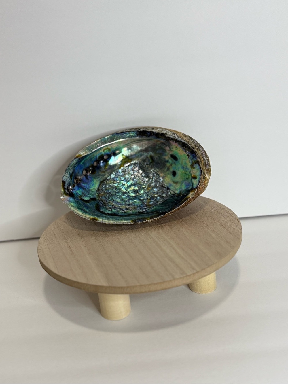 Iridescent Abalone Shell Decorative Smudging Bowl - Green Blue Accent